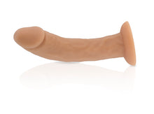 Load image into Gallery viewer, Freddie ~ Fuze