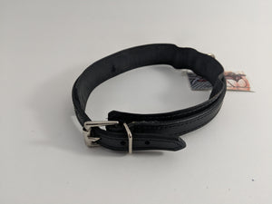 1" Leather Collar